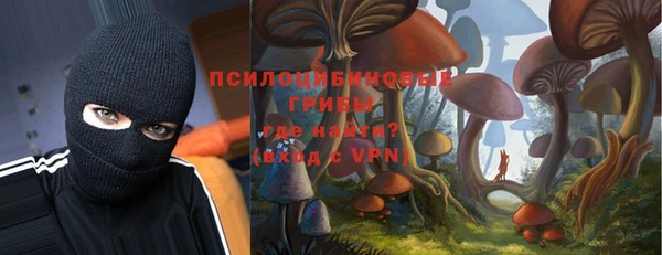 mix Богородск