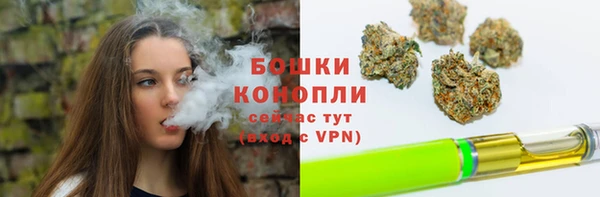 дурь Богородицк