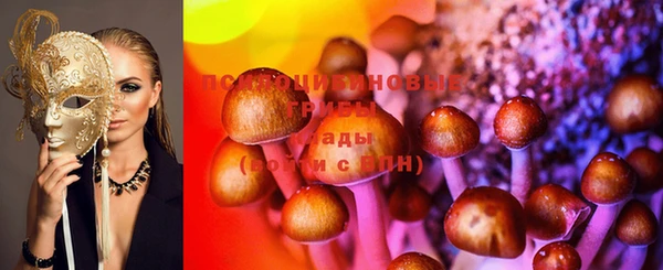 дурь Богородицк