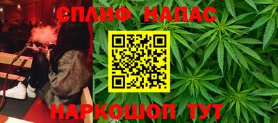 скорость Бийск