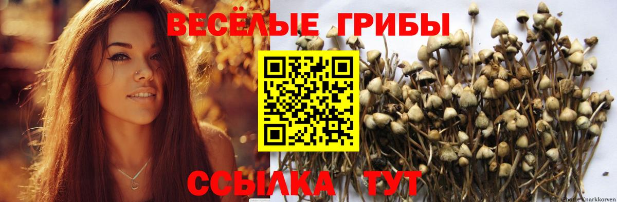 Галлюциногенные грибы MAGIC MUSHROOMS Городец